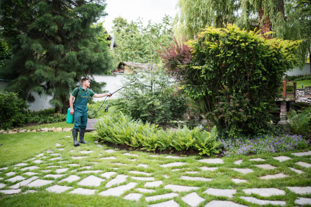 Wasp Removal Services in Amador Pines, CA