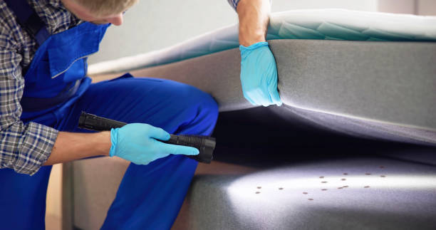 Best Best Pest Control Companies  in Amador Pines, CA