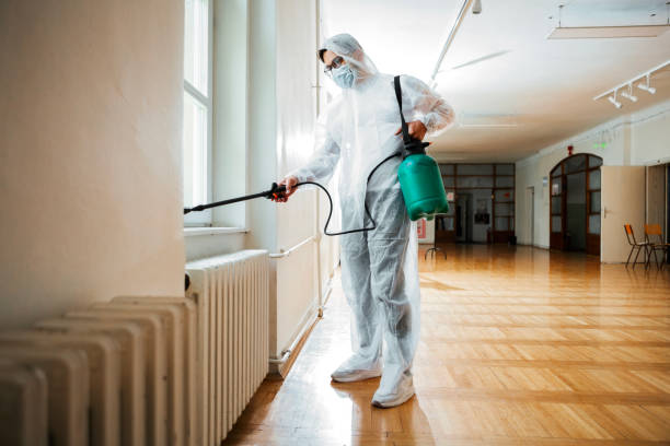 Best Best Pest Control Companies  in Amador Pines, CA